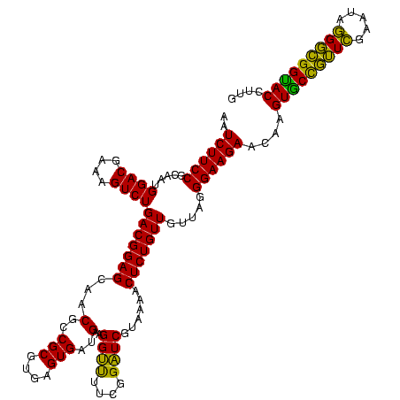 secondary structure