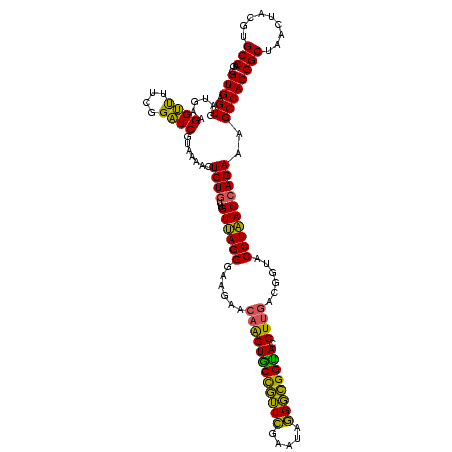 secondary structure