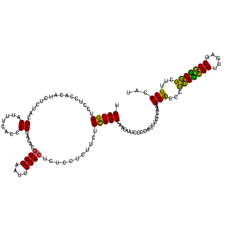 secondary structure