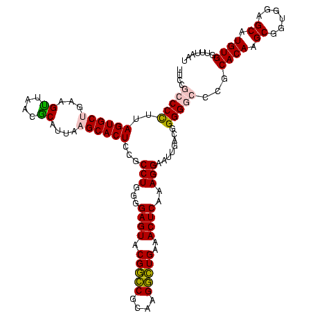 secondary structure