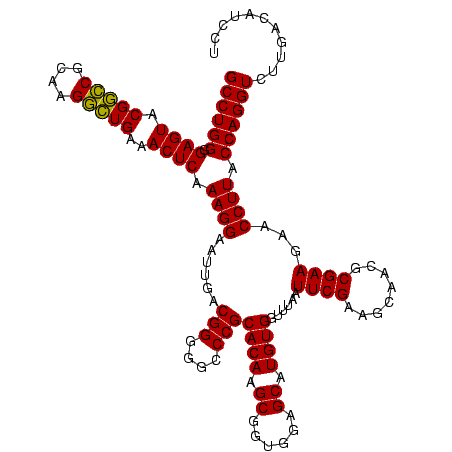 secondary structure