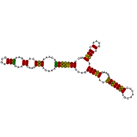 secondary structure