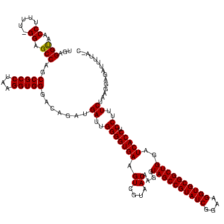secondary structure