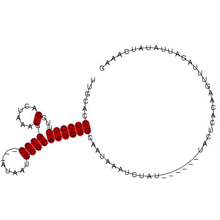 secondary structure