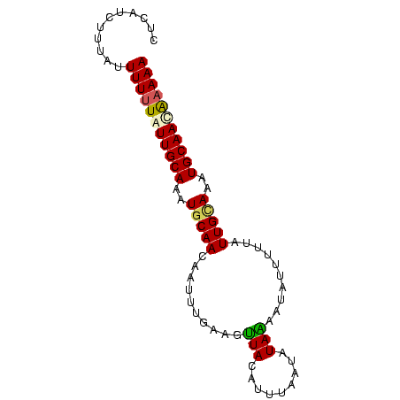 secondary structure