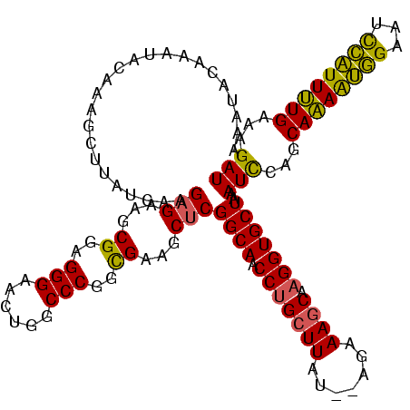 secondary structure