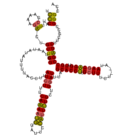 secondary structure