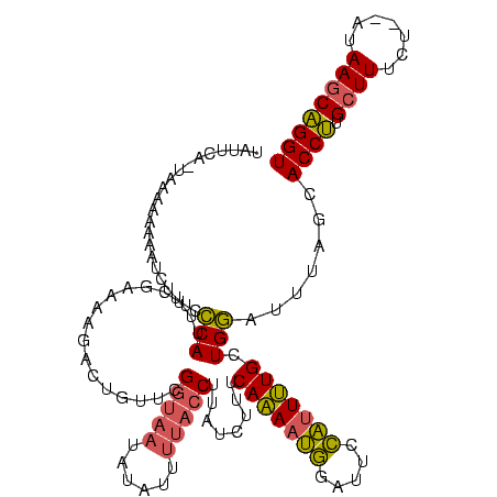 secondary structure