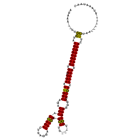 secondary structure