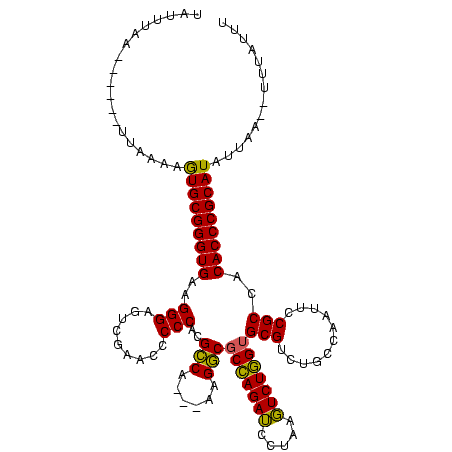 secondary structure