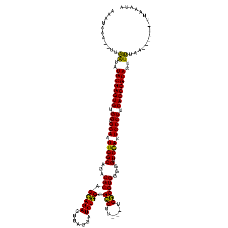 secondary structure