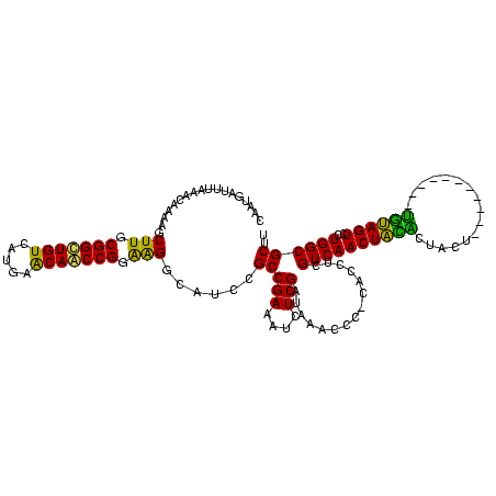 secondary structure
