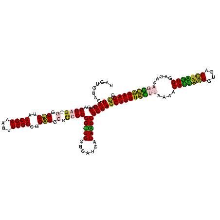 secondary structure