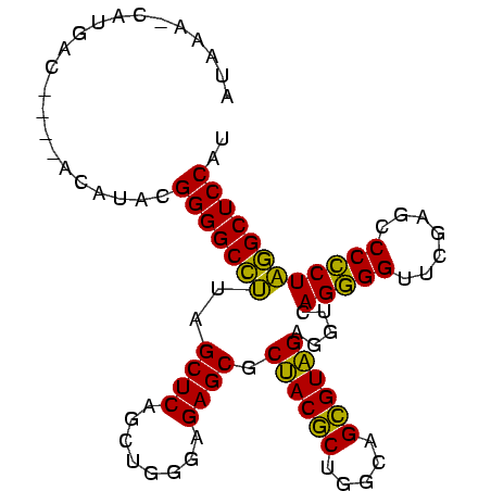 secondary structure