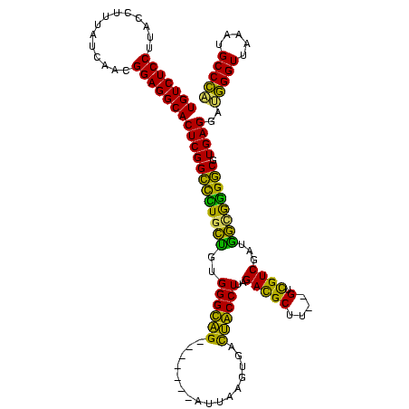 secondary structure