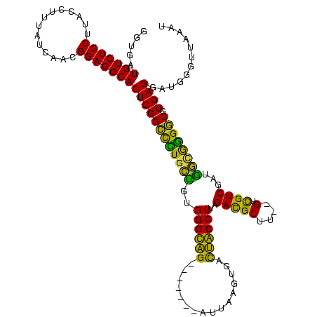 secondary structure