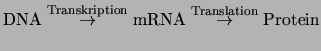 $\displaystyle \mathrm{DNA} \stackrel{\mathrm{Transkription}}{\rightarrow} \mathrm{mRNA} \stackrel{\mathrm{Translation}}{\rightarrow} \mathrm{Protein}$