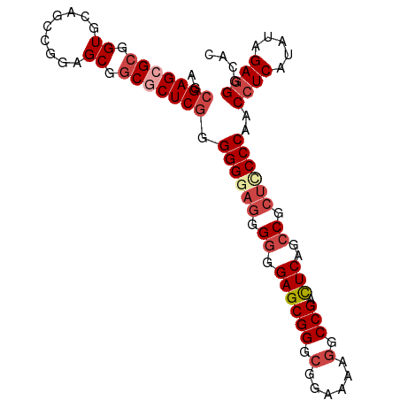 secondary structure