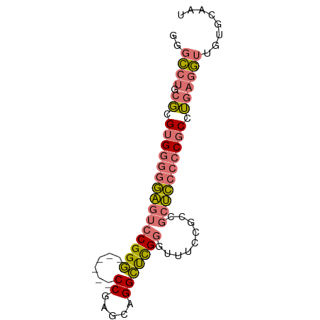 secondary structure