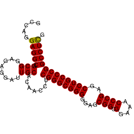 secondary structure