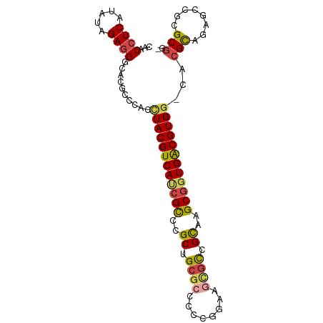 secondary structure