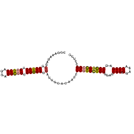 secondary structure
