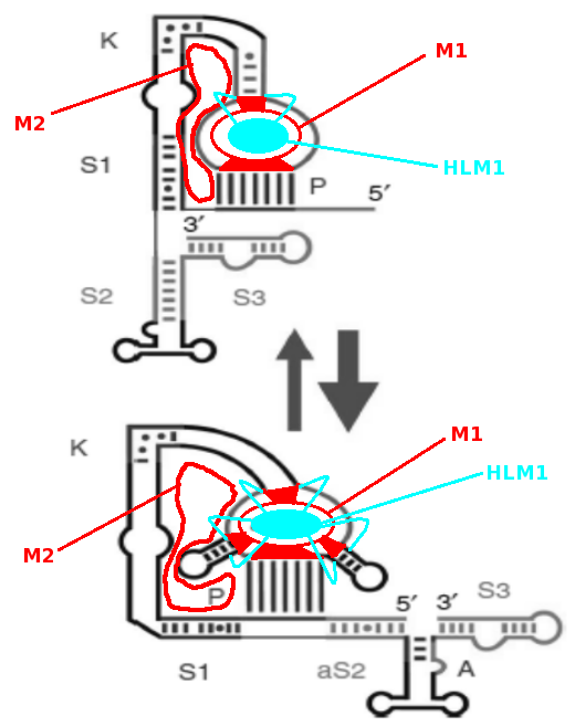 1a