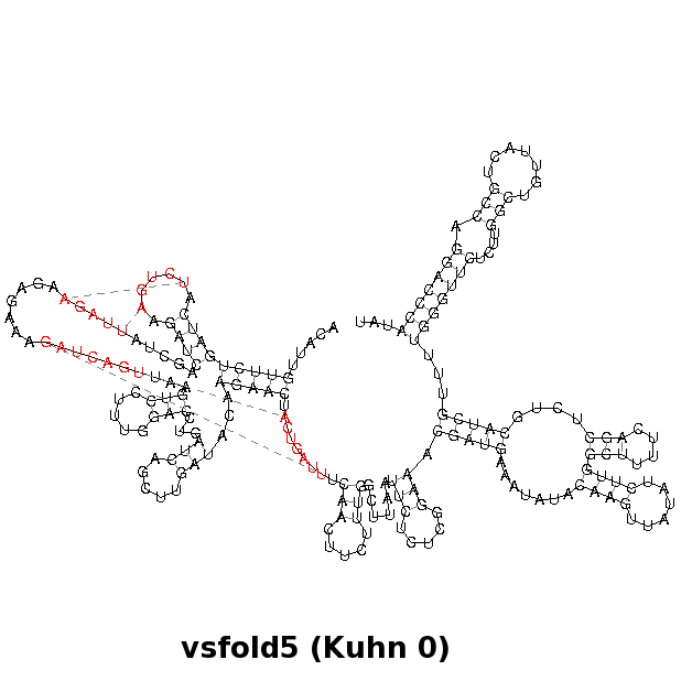 Kuhn aus
