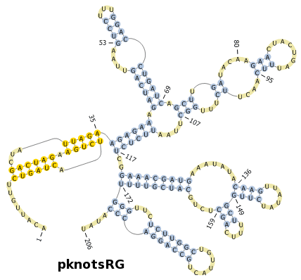 pKnotsRG