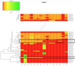 heatmap6_gekuerzt