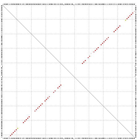 Dot Plot