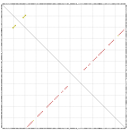 Dot Plot