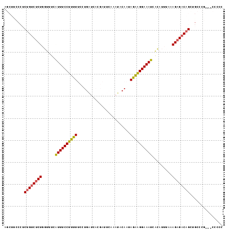 Dot Plot