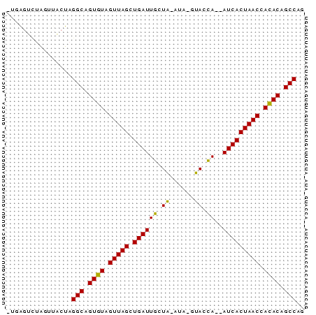 Dot Plot