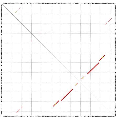 Dot Plot