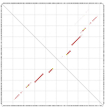 Dot Plot