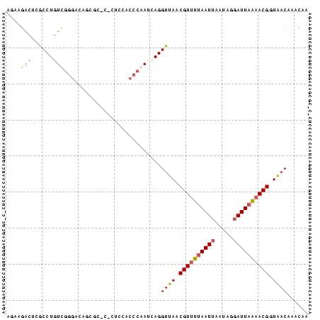 Dot Plot