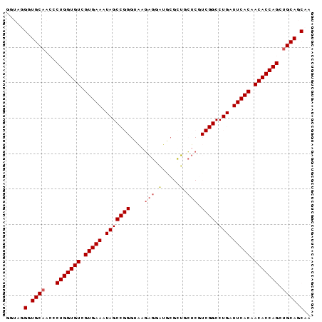 Dot Plot