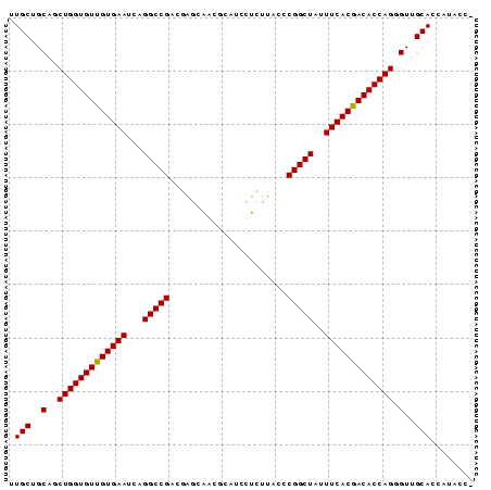 Dot Plot