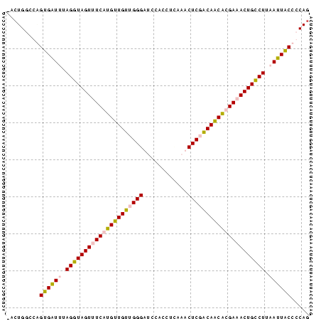 Dot Plot