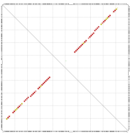 Dot Plot