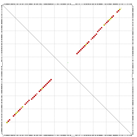 Dot Plot