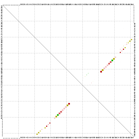 Dot Plot