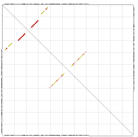 Dot Plot