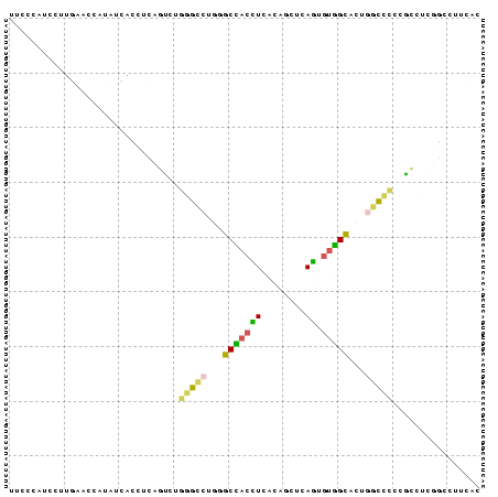 Dot Plot