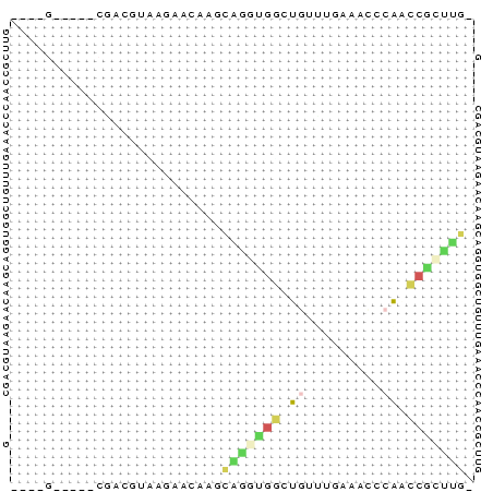 Dot Plot