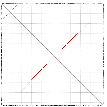 Dot Plot