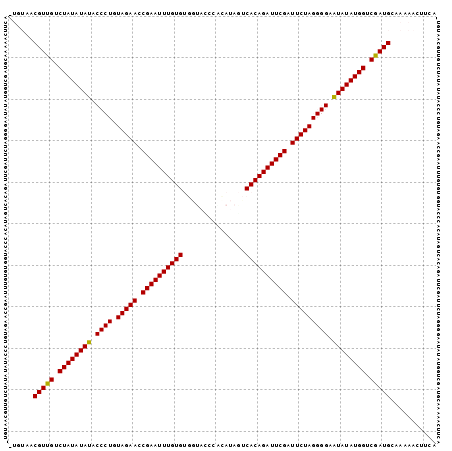 Dot Plot