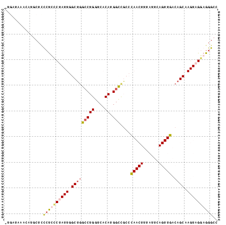 Dot Plot