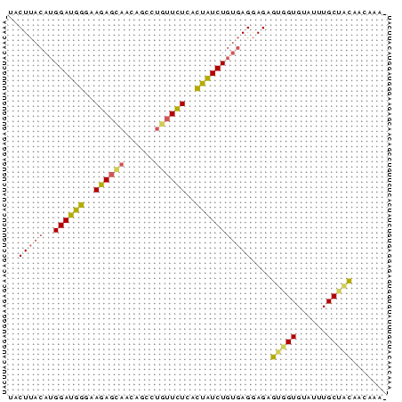 Dot Plot